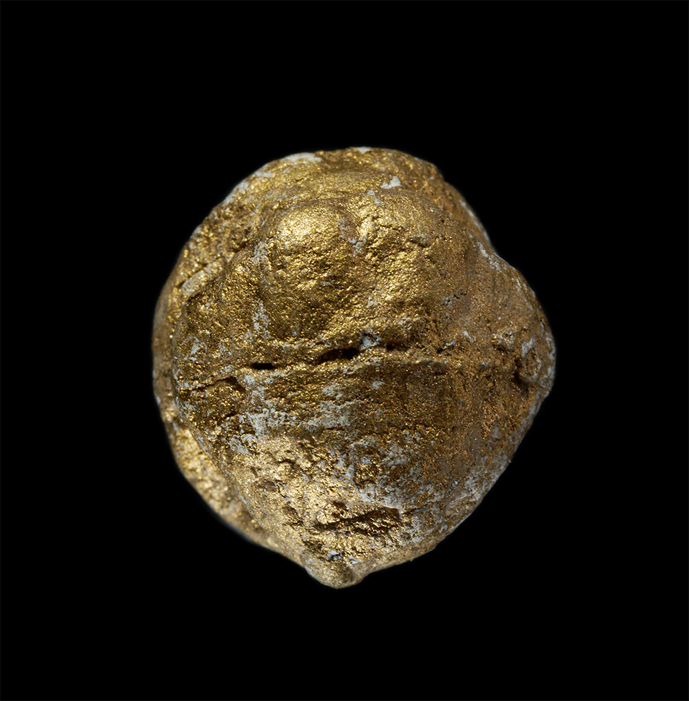 08Sep24 (4)p.jpg - ลูกอมหนุมานหลวงพ่อกราด วัดซากกอไผ่ อ.บ้านค่าย จ.ระยอง ปี2555 หลวงปู่เกลี้ยง หลวงพ่อสิน และพระเกจิอาจารย์ ร่วมปลุกเสกหลายท่าน เนื้อผงพุทธคุณ ผงว่าน ผงเ [..] | https://kamulet.in.th